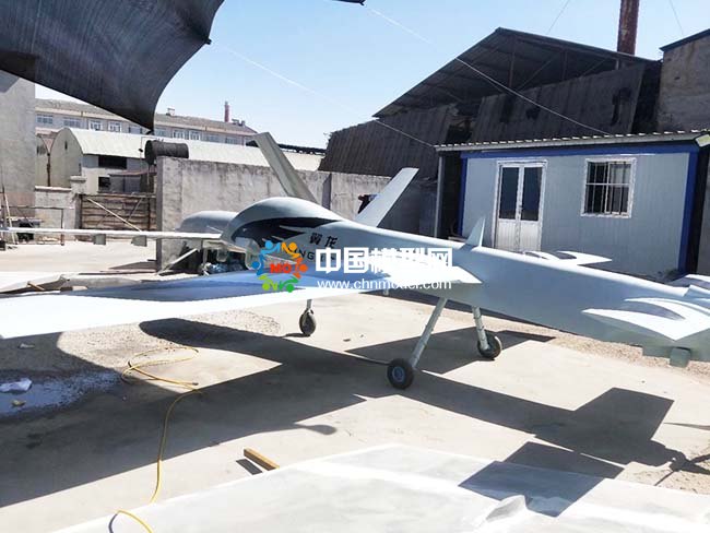 大型1:1仿真飛機(jī)模型